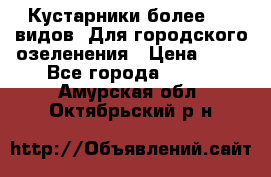 Кустарники более 100 видов. Для городского озеленения › Цена ­ 70 - Все города  »    . Амурская обл.,Октябрьский р-н